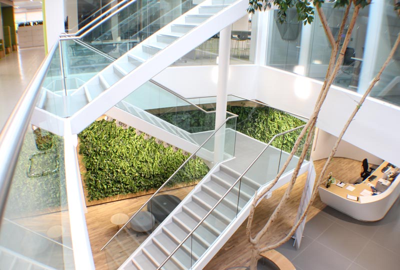 What is Biophilic Design?