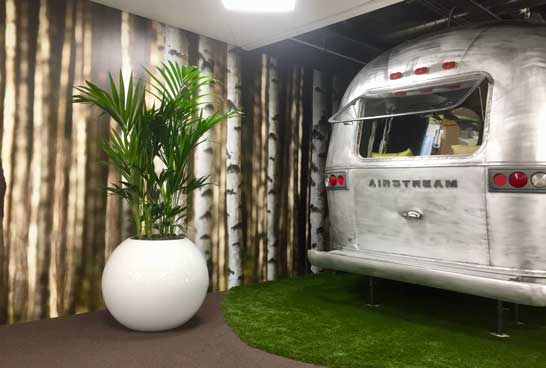 Vibrant office plant installation for stylish Preston HQ