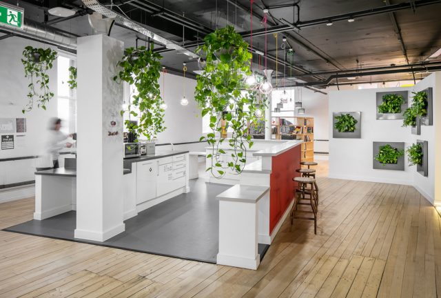 ‘Hanging baskets’ lead creative planting scheme for Manchester office