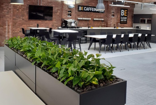 A lockdown revamp with a low-level plant installation for Central Manchester law firm