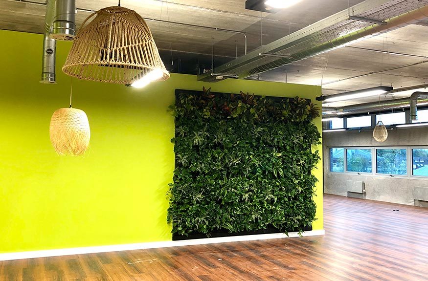 Living green walls from Natural Greenwalls for offices and professionals