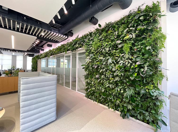 Living Walls | Living Wall Specialists • Inleaf