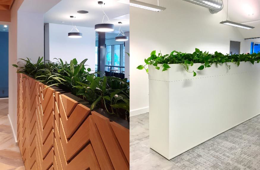 Maintained Partition Plant Displays & Plant Room Dividers • Inleaf