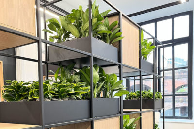 A fresh living plant installation with artificial accents for an office move in Manchester