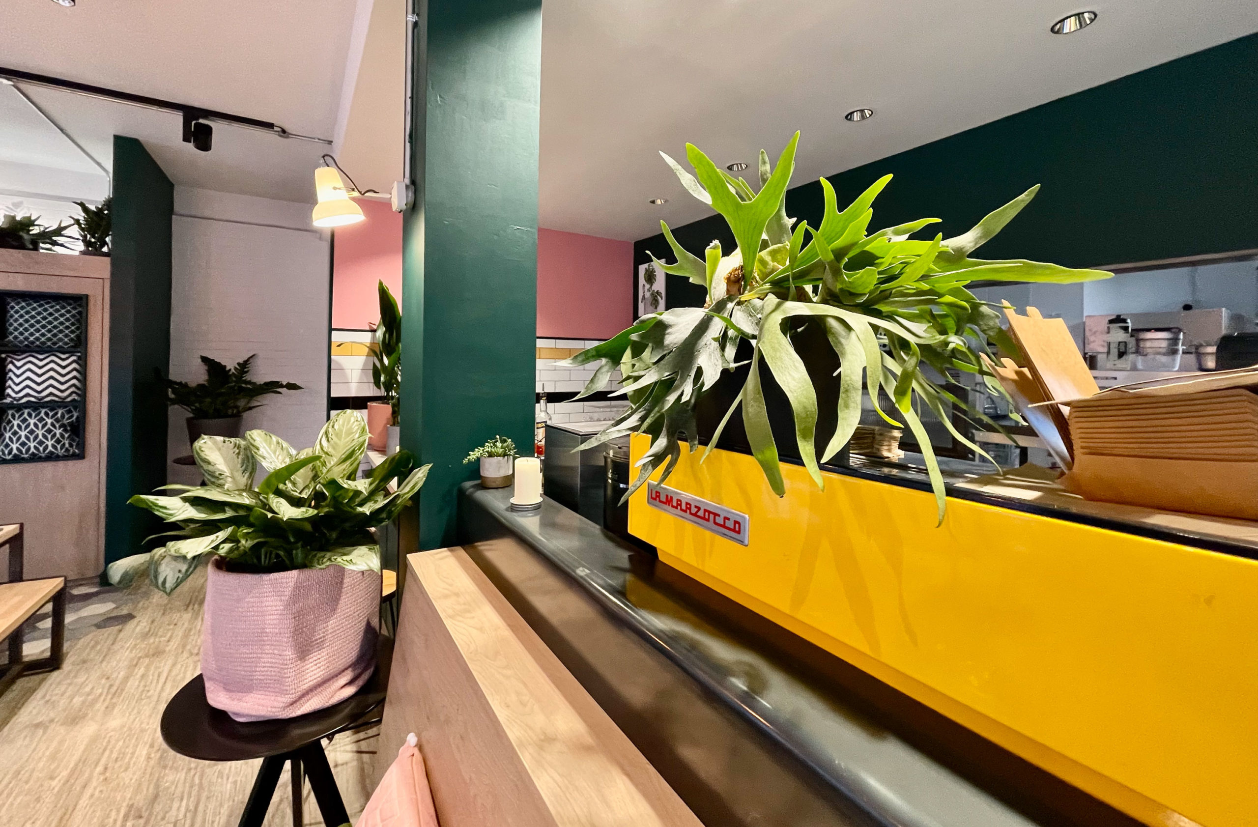 A mixed installation of living and artificial plants for vegan restaurant Pastan in Bristol
