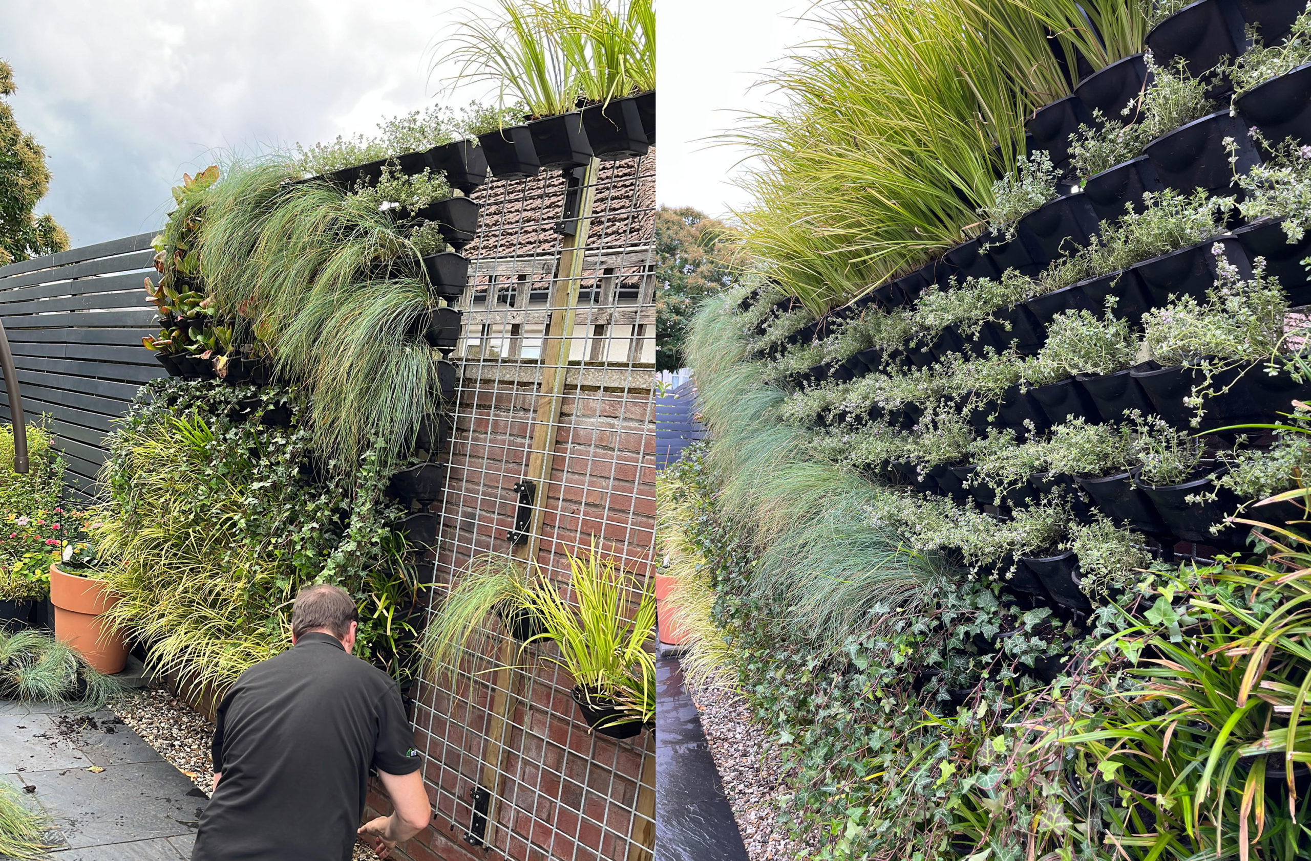 A garden living wall for a residential property in Irlam, Greater Manchester