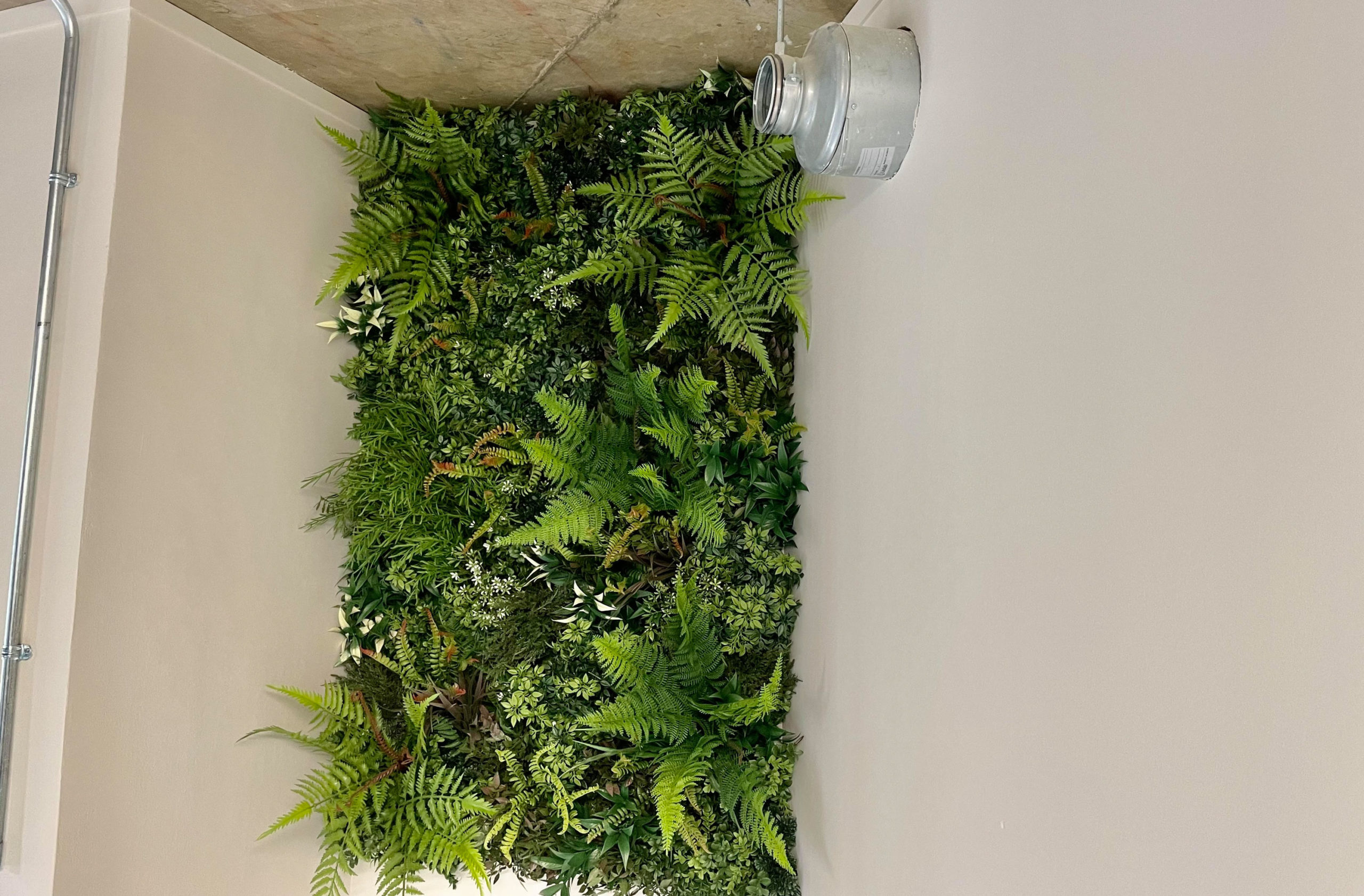 Bespoke artificial plant wall for leading office design and fit out company in Bristol city centre