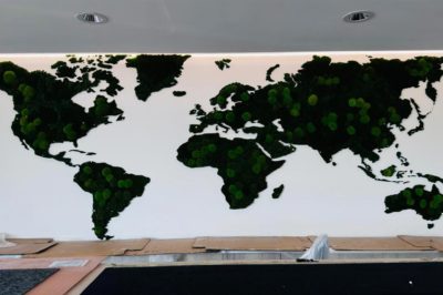 Bespoke moss world map