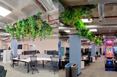 How IGT’s Office Redesign Used Plants to Enhance Acoustics, Privacy, and Employee Well-being