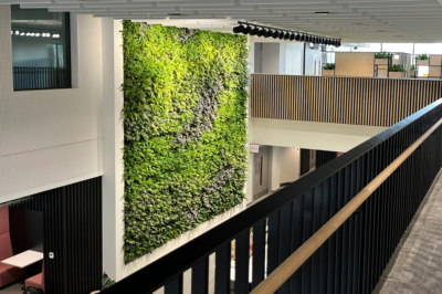 Biophilic Transformation at Sheffield Hallam University’s New Campus Buildings