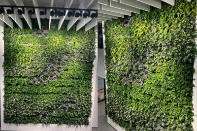 Biophilic Transformation at Sheffield Hallam University’s New Campus Buildings
