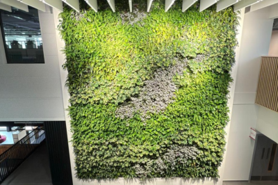 Biophilic Transformation at Sheffield Hallam University’s New Campus Buildings