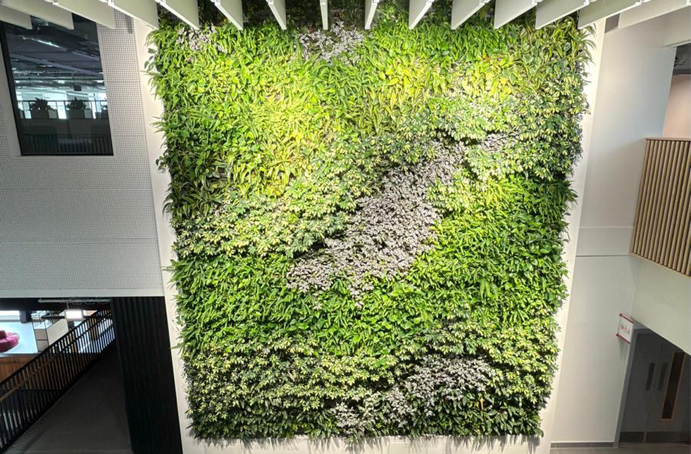 Biophilic Transformation at Sheffield Hallam University’s New Campus Buildings