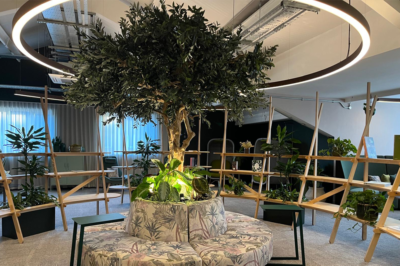 How Biophilic Design Transformed Crown Paints' Employee Relaxation Room