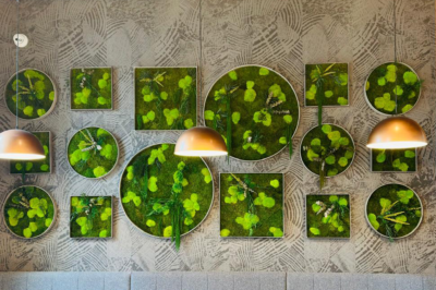 Tribe's London makeover: How Inleaf used plants to transform student living