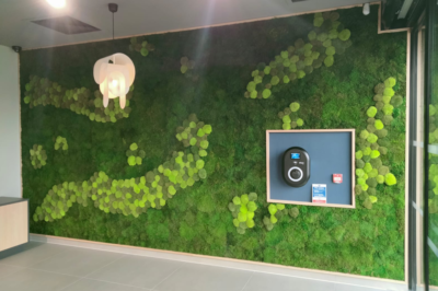 Enhancing Halliwell Jones’ handover bay with Bespoke Moss Wall