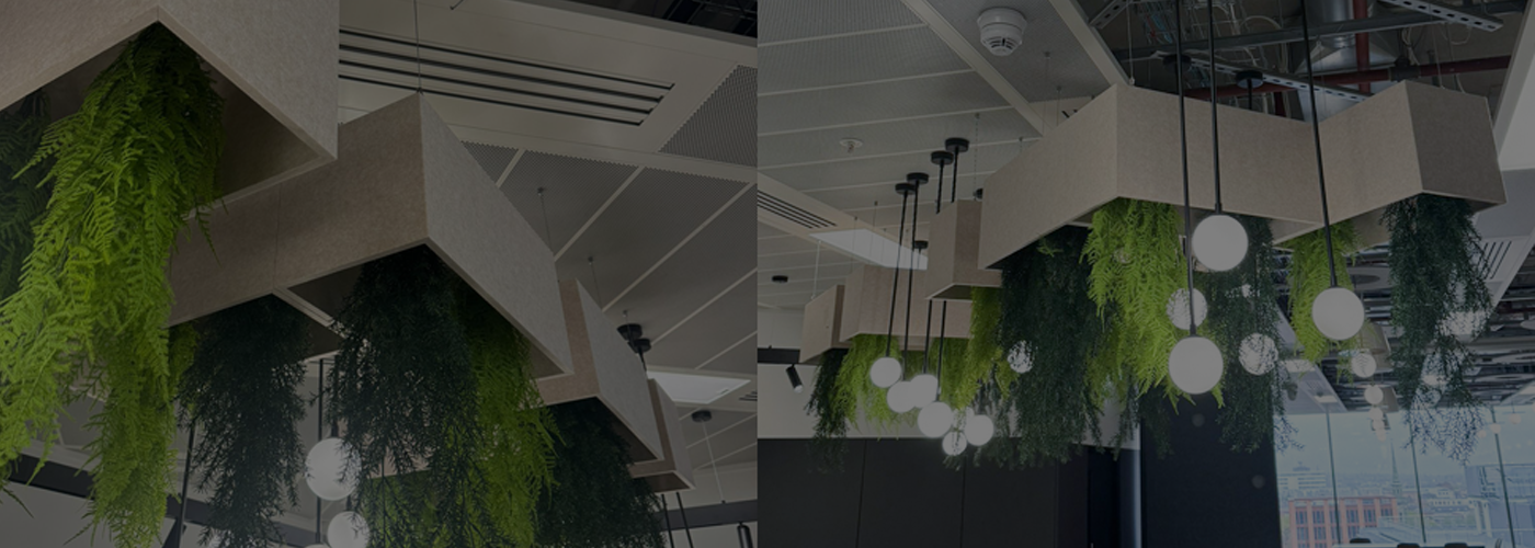 Hanging Plant Displays