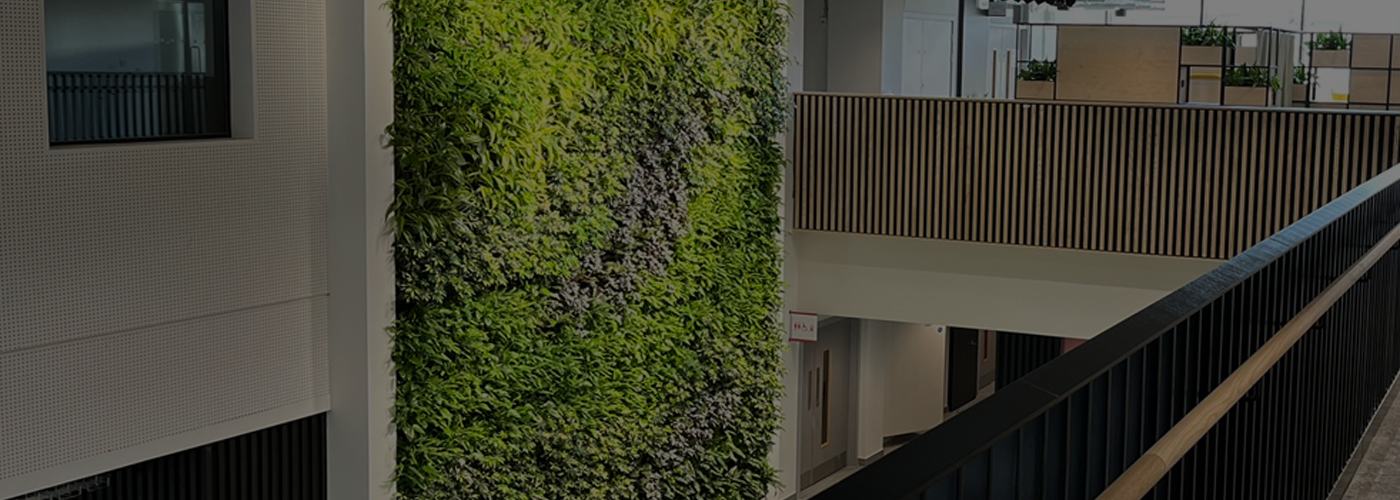 Interior Living Walls