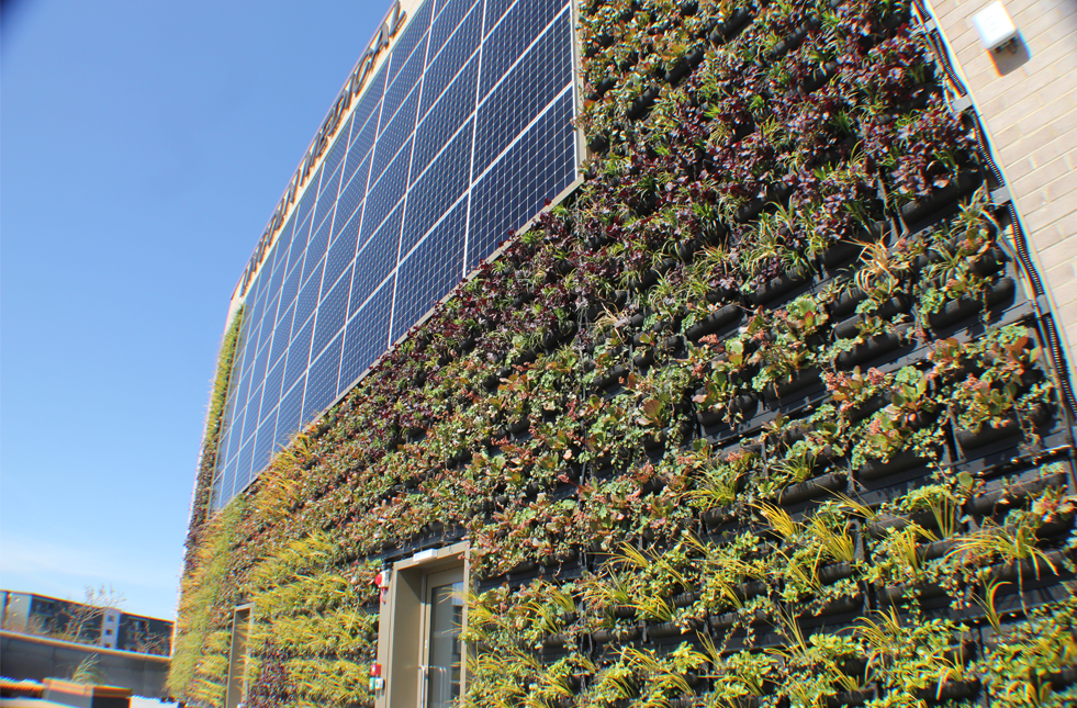 Living Walls