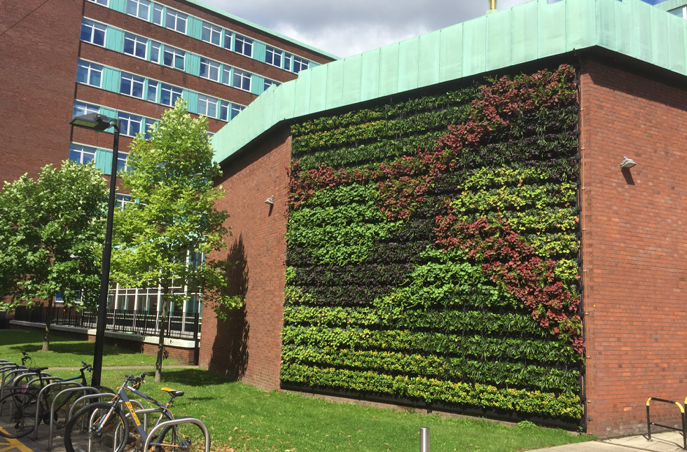 Exterior Green Walls
