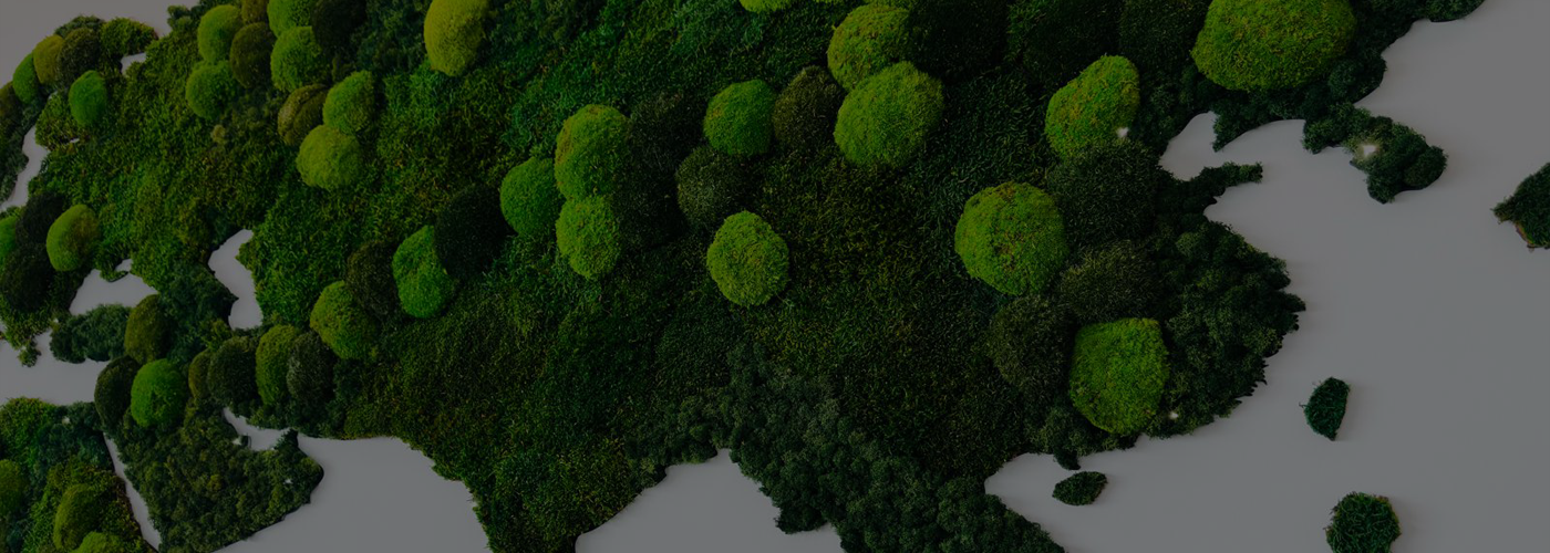 Moss Walls & Pictures