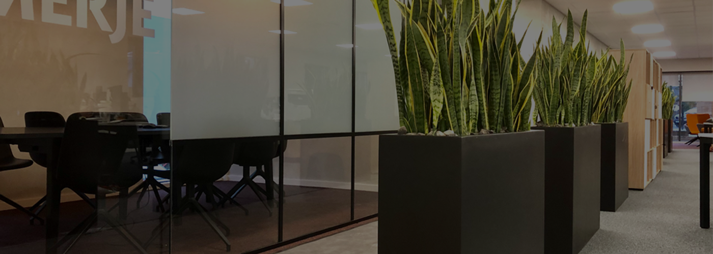 Partition Plant Displays