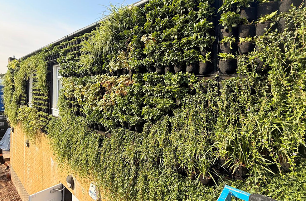 Bringing nature to Turney School’s new Home Economics Building