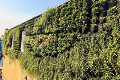 Bringing nature to Turney School’s new Home Economics Building