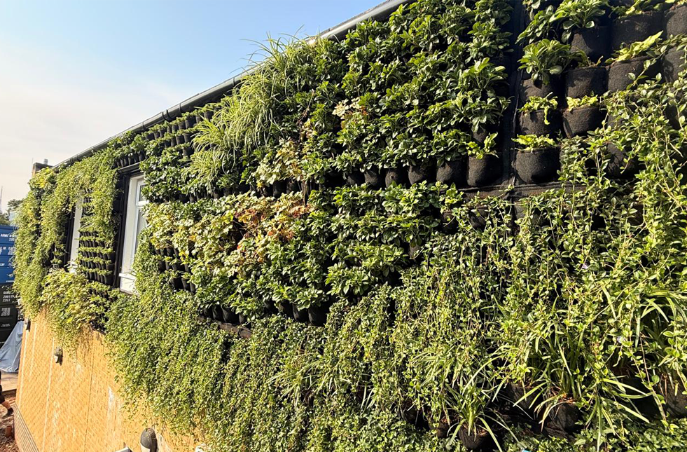 Bringing nature to Turney School’s new Home Economics Building