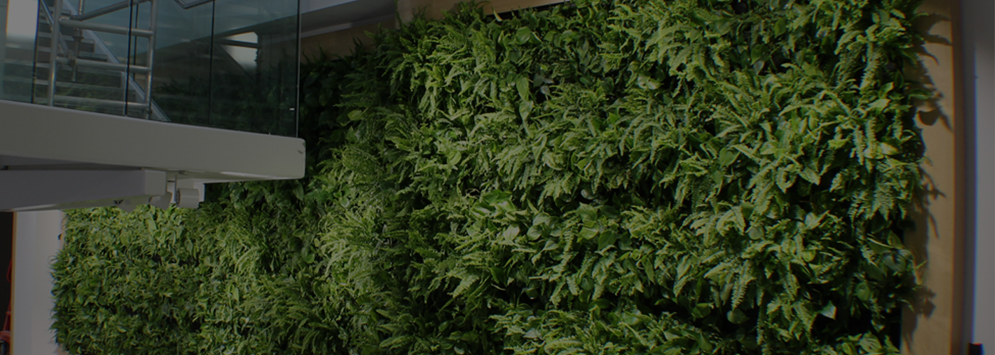 Interior Living Walls